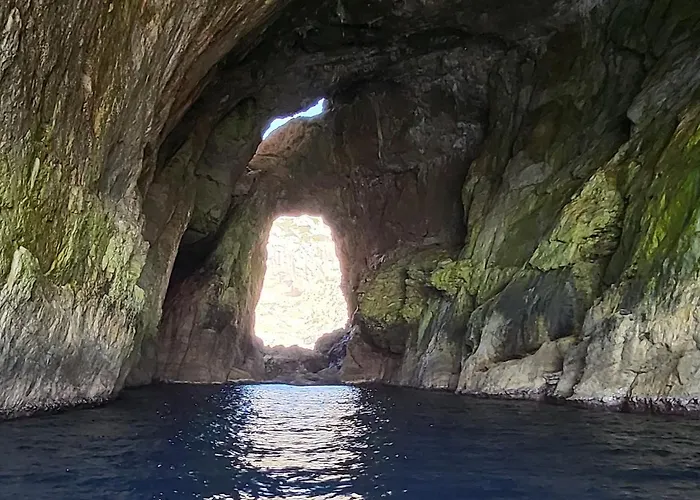 Beglia - Self Check-in