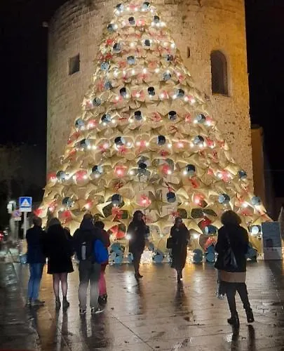 Beglia - Self Check-in 3*